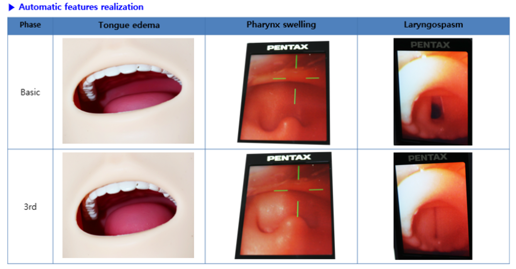 BT-CSIE-D-3-Difficult Airway Management Training Model